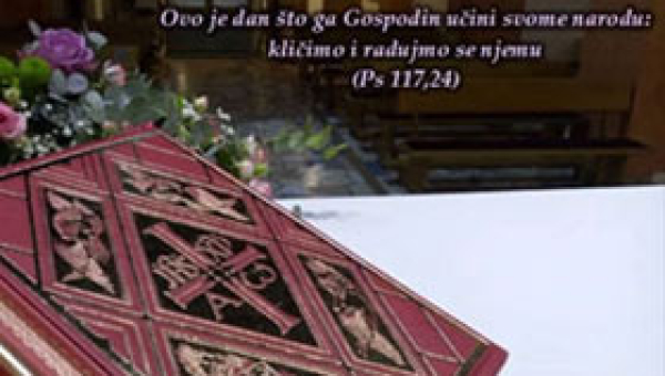 Evanđelje i propovijed 05.10.2025. - Dvadeset i sedma nedjelja kroz godina